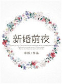 新婚前夜小说免费阅读晋江